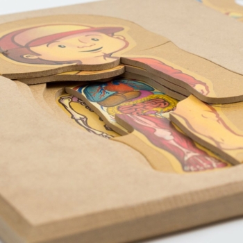 Rompecabezas Cuerpo Humano Nene